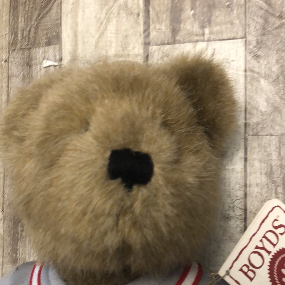 Boyd’s Earnhardt Jr. #8 NASCAR Teddy Bear NWT - Picture 2 of 10